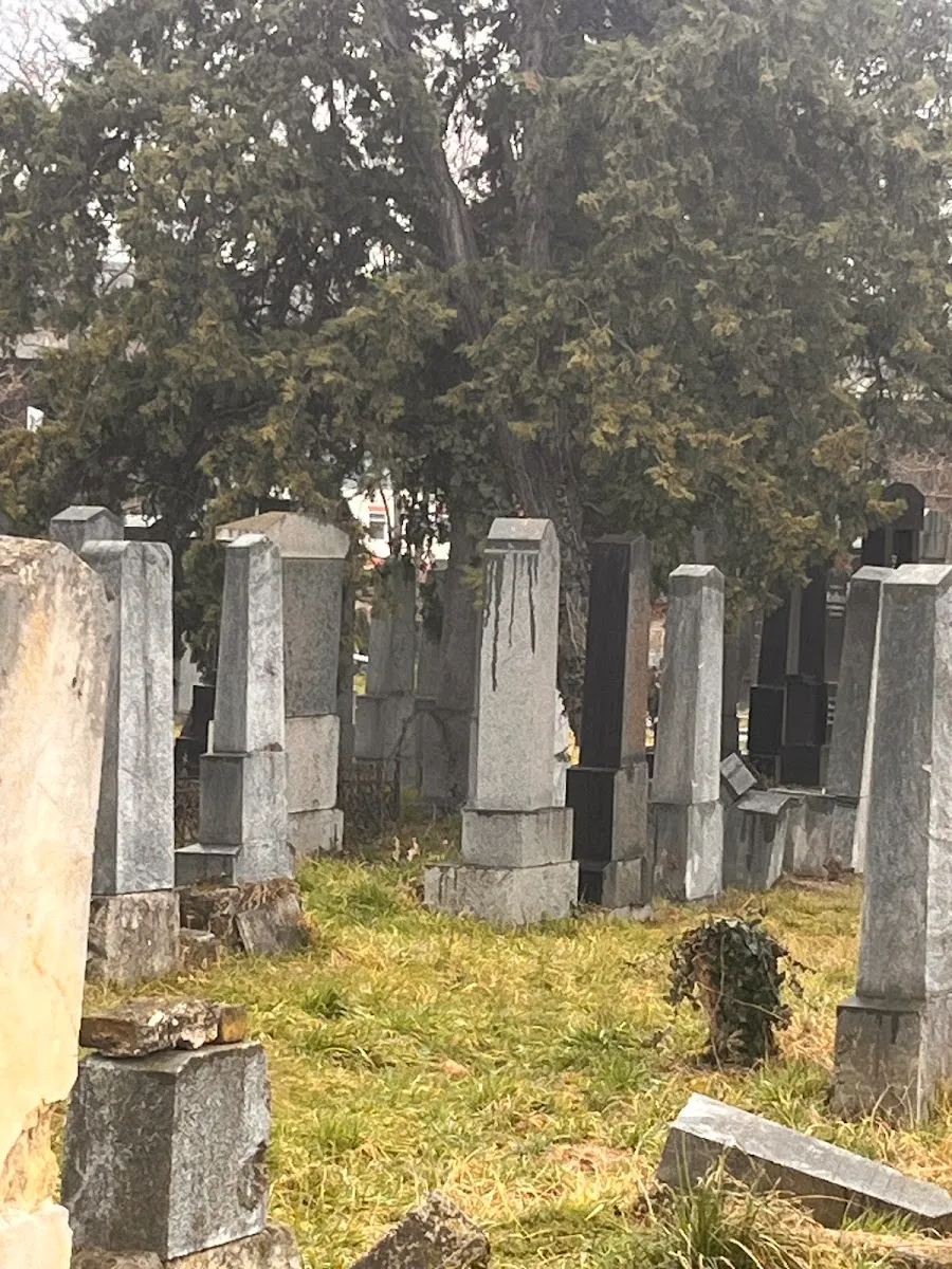 Jüdischer Friedhof Floridsdorf — foto 10