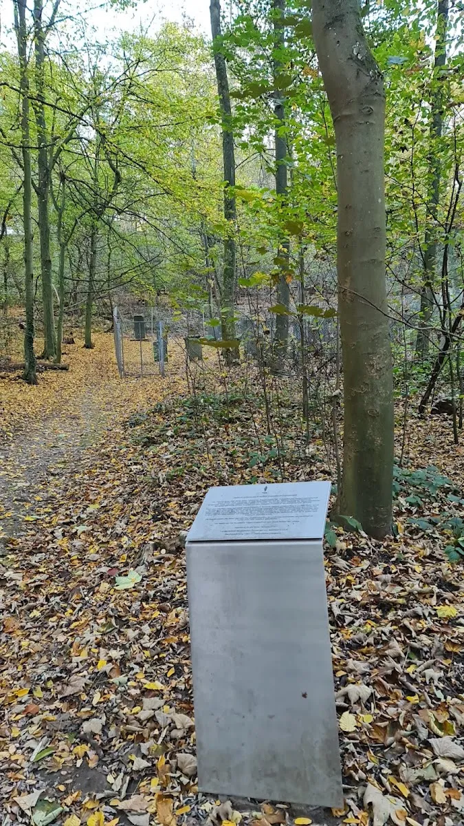 Jüdischer Friedhof Gerresheim — photo 3