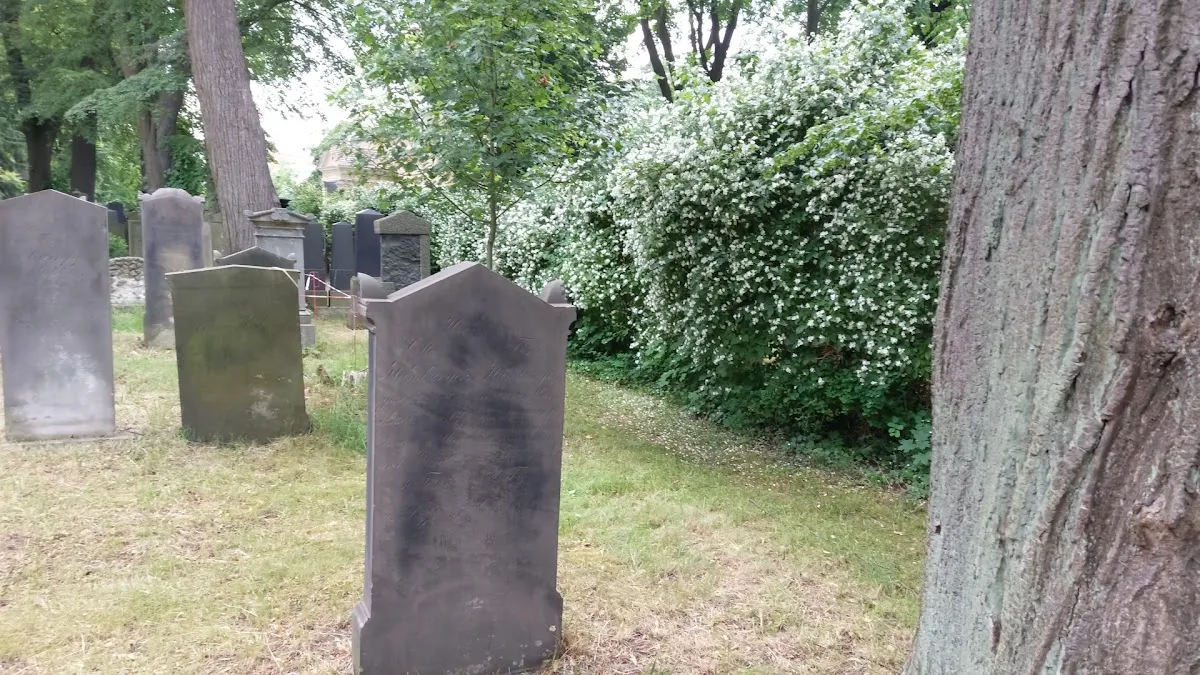 Jüdischer Friedhof Görlitz — foto 3