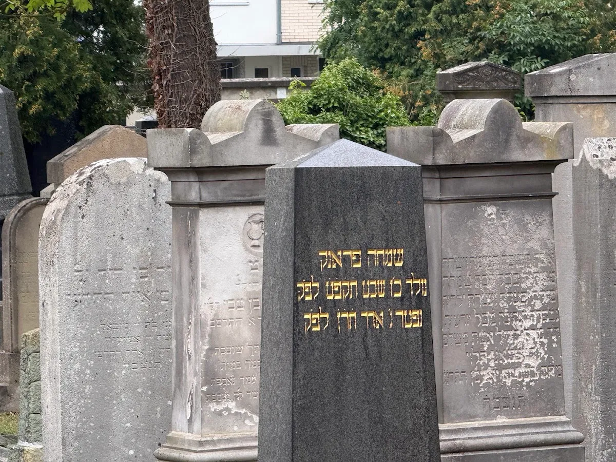 Jüdischer Friedhof Göttingen (An der Gerichtslinde) — photo 4