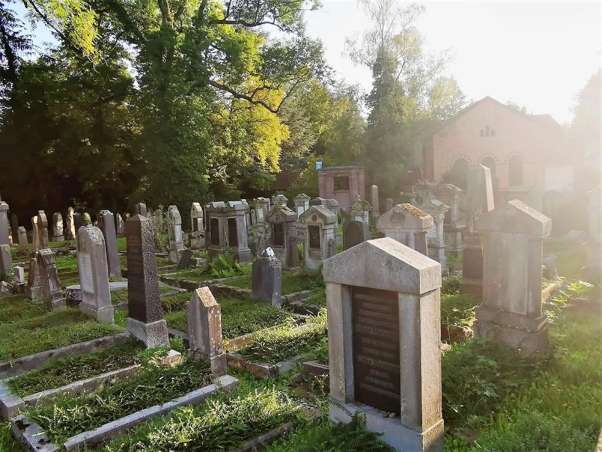 Jüdischer Friedhof Göttingen (An der Gerichtslinde) — photo 9