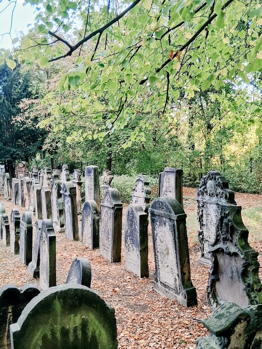 Jüdischer Friedhof Halle (Saale) — foto 6