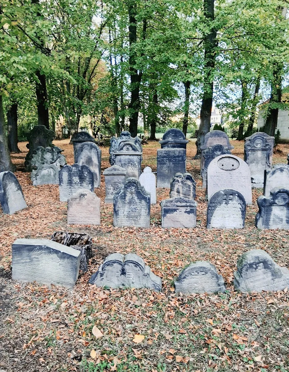 Jüdischer Friedhof Halle (Saale) — foto 8