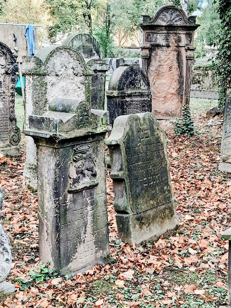 Jüdischer Friedhof Halle (Saale) — foto 9