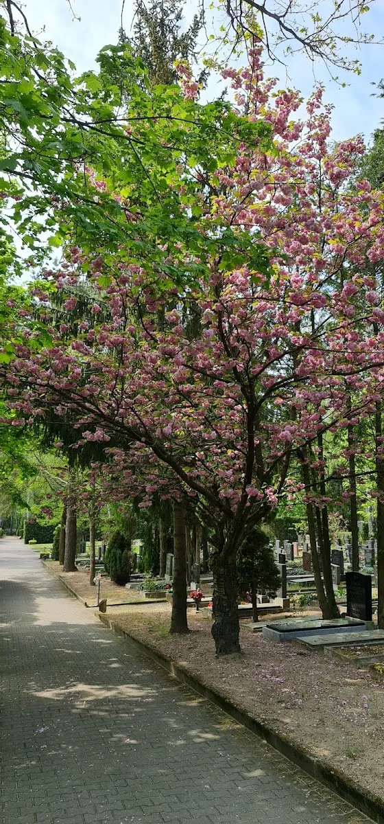 Jüdischer Friedhof Heerstraße/Scholzplatz — foto 9