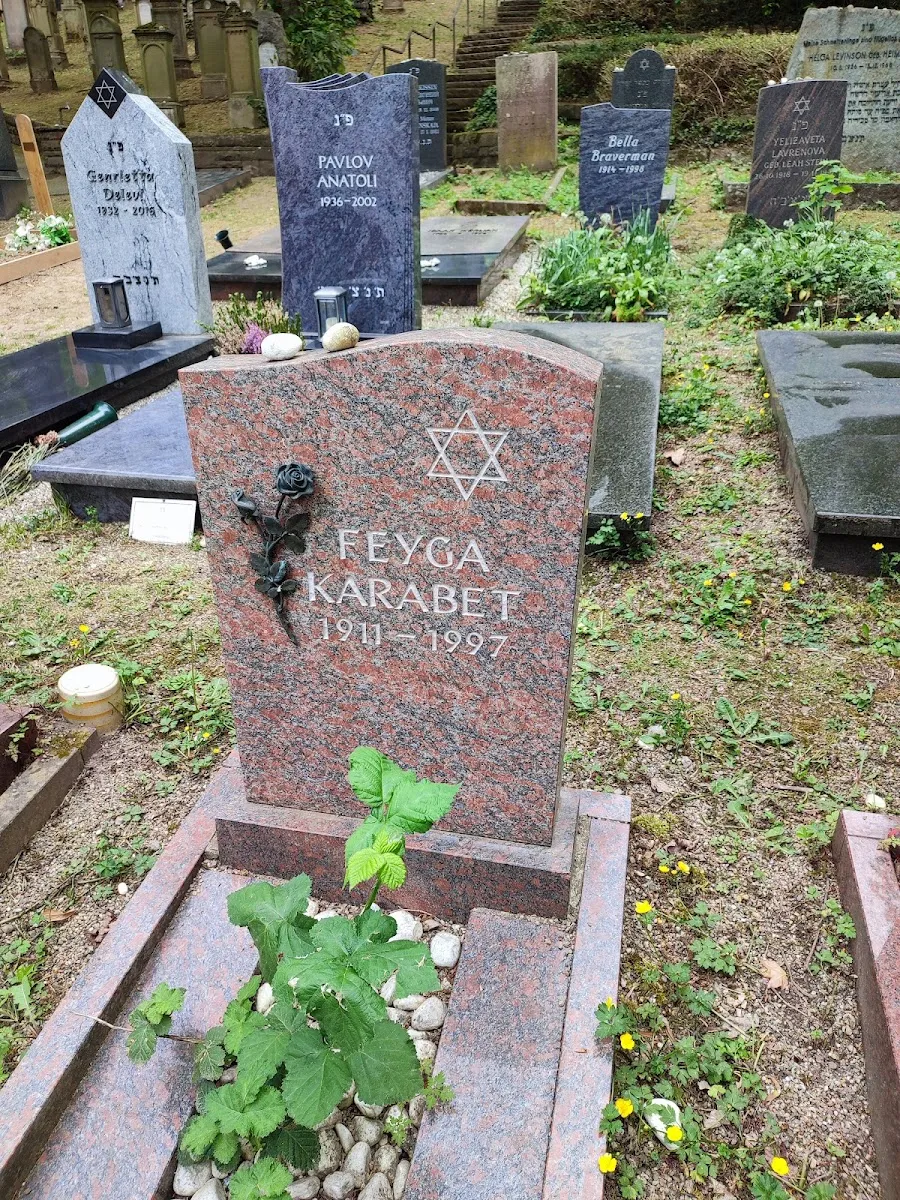 Jüdischer Friedhof Heidelberg — foto 5