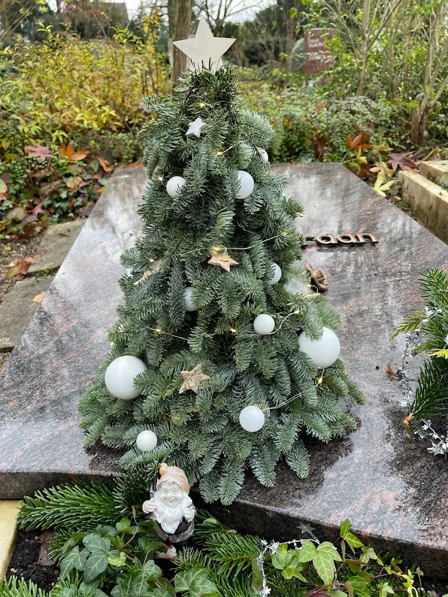 Jüdischer Friedhof Heidelberg — foto 6