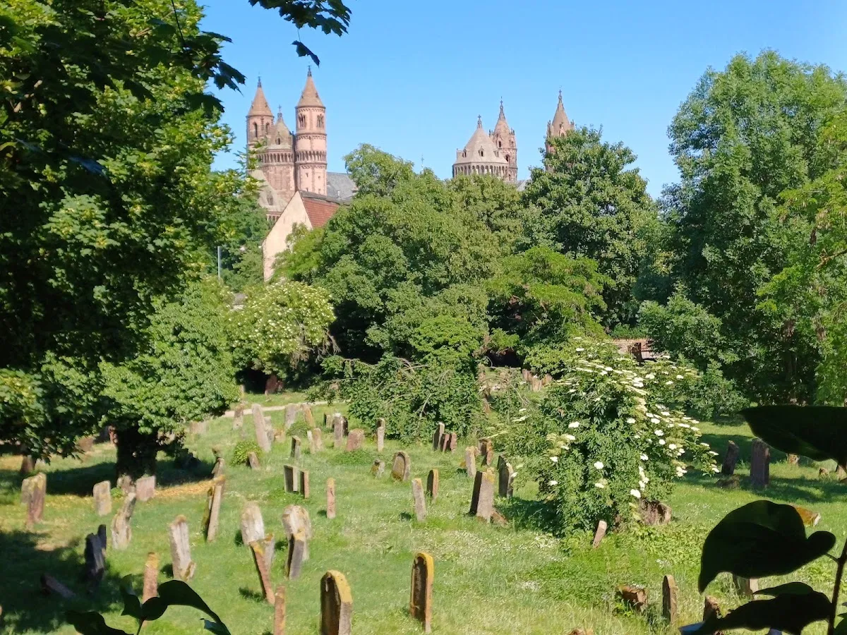 Jüdischer Friedhof Heiliger Sand — photo 7