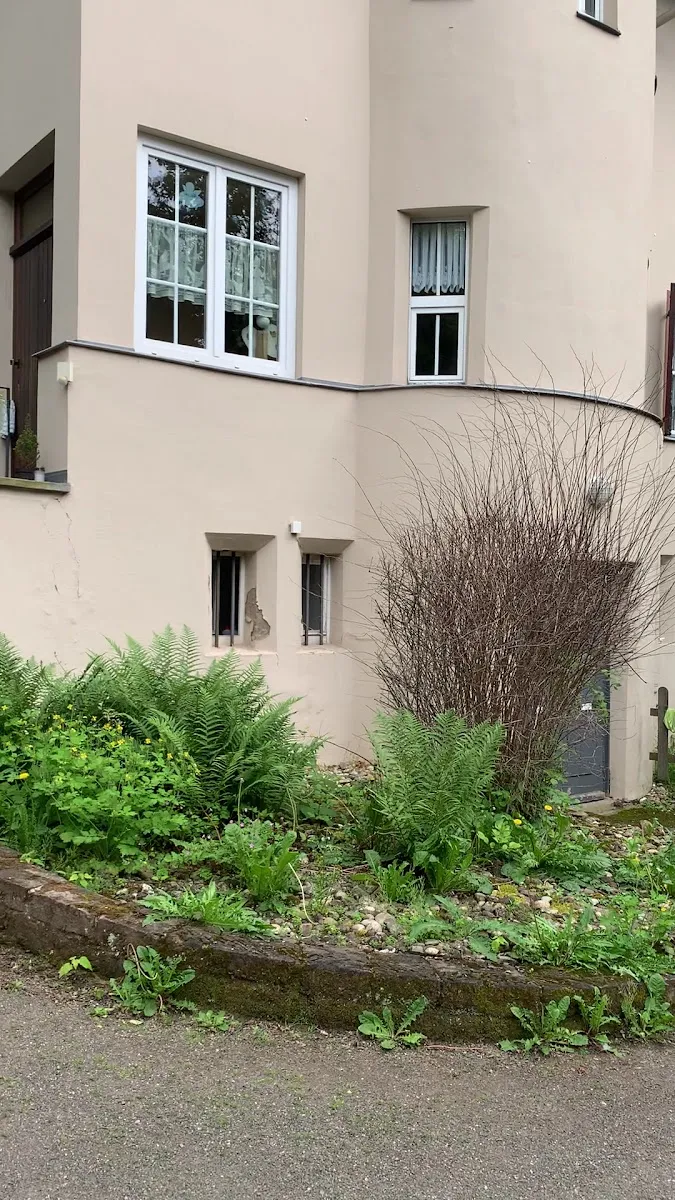 Jüdischer Friedhof Heiliger Sand — photo 9