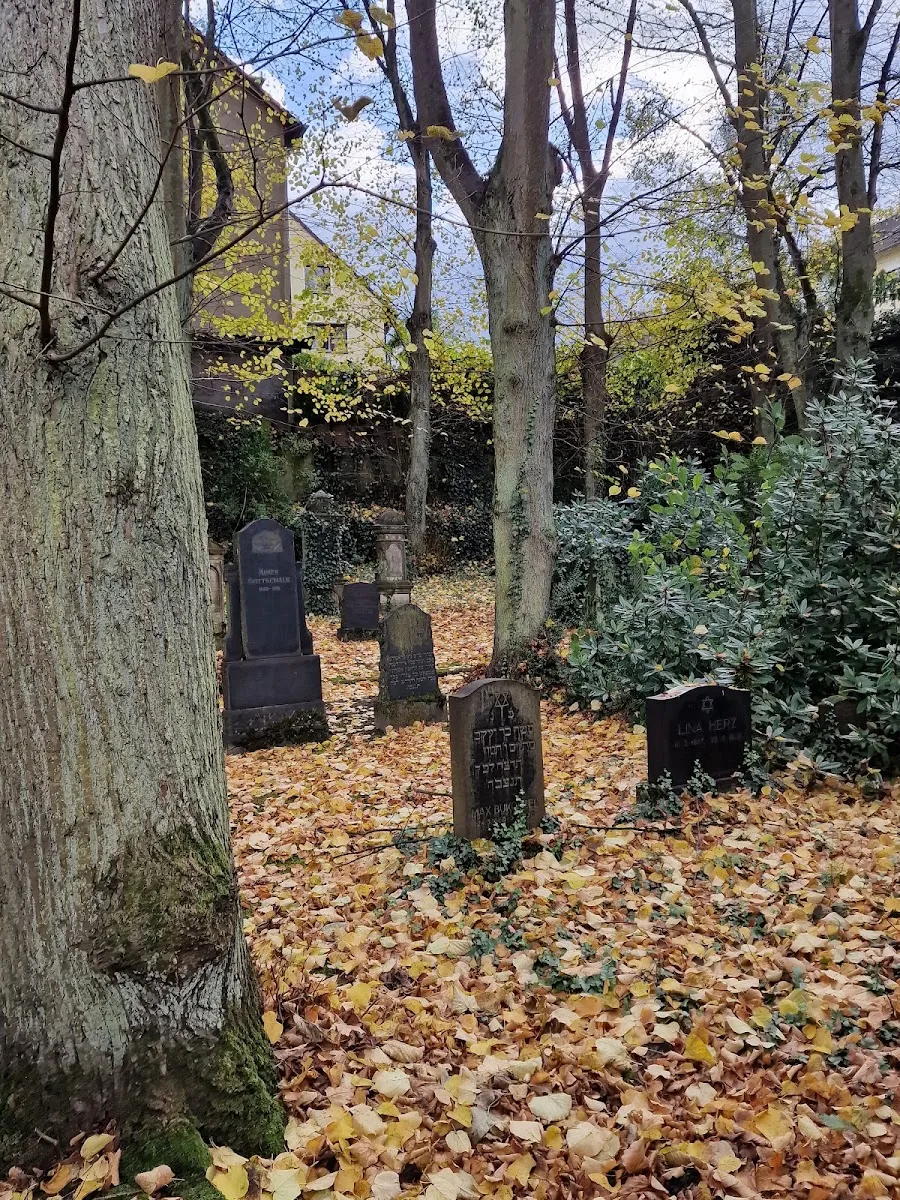 Jüdischer Friedhof Hiltrops Kamp — foto 8