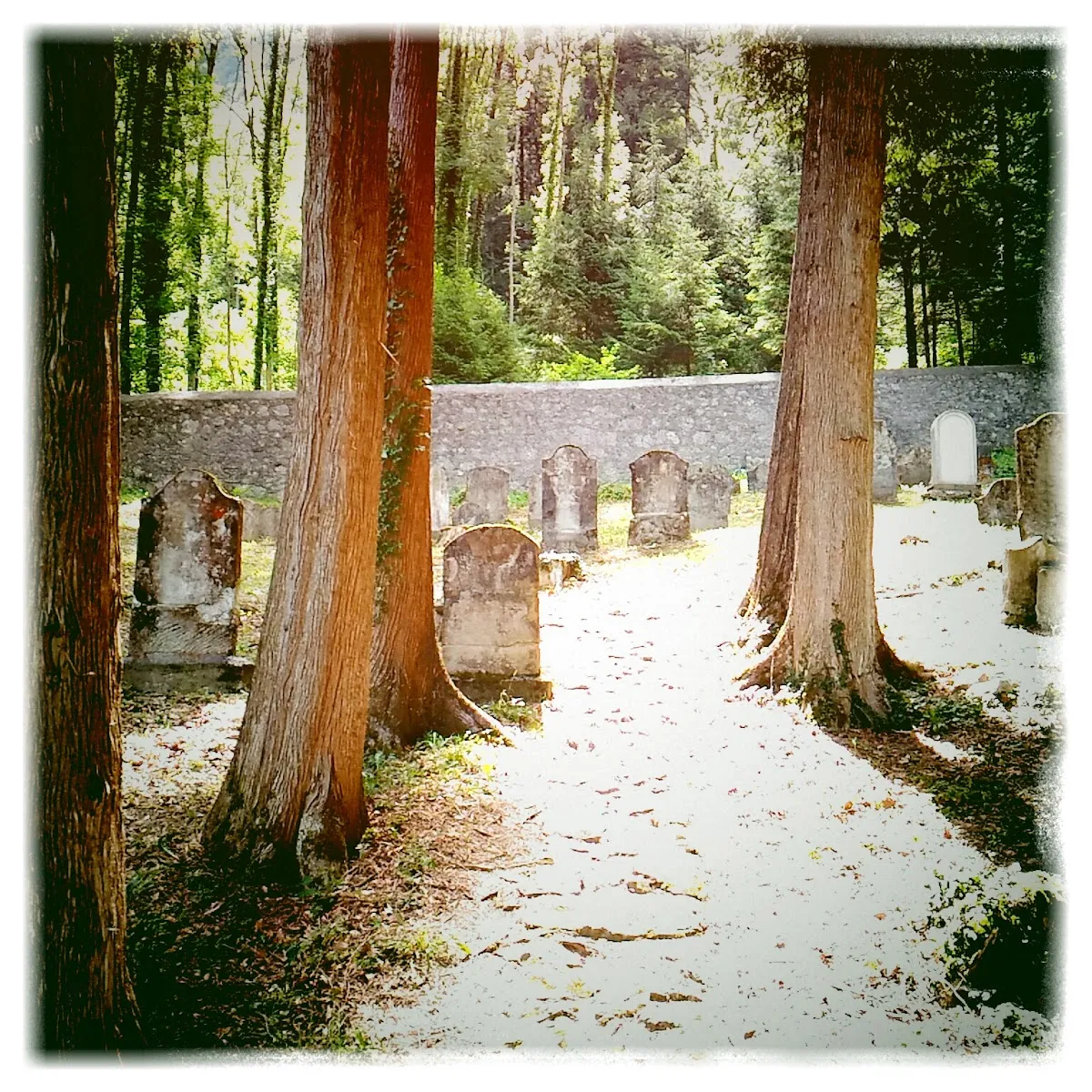 Jüdischer Friedhof Hohenems — foto 2