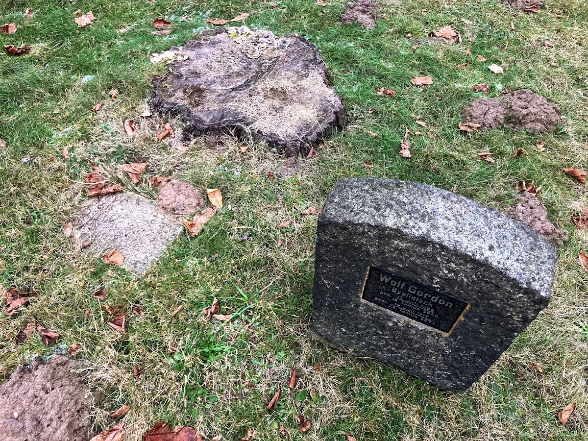 Jüdischer Friedhof Jenfelder Straße — foto 2