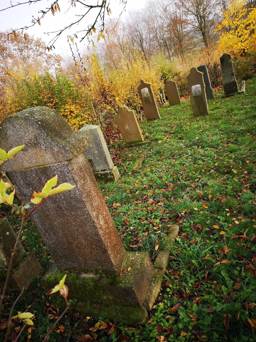 Jüdischer Friedhof Kirch-Göns — photo 2