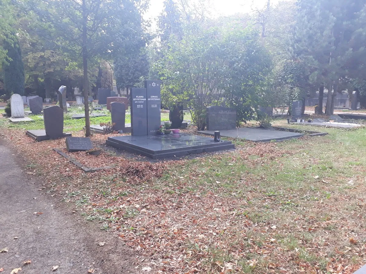Jüdischer Friedhof Köln-Bocklemünd — photo 6