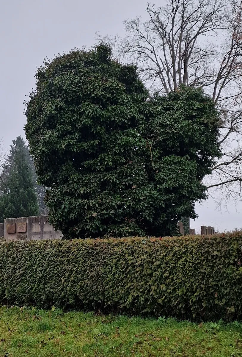 Jüdischer Friedhof Konstanz — foto 5