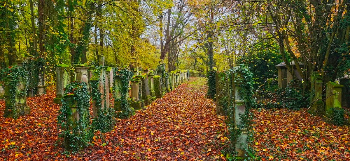 Jüdischer Friedhof Kuppenheim — photo 2