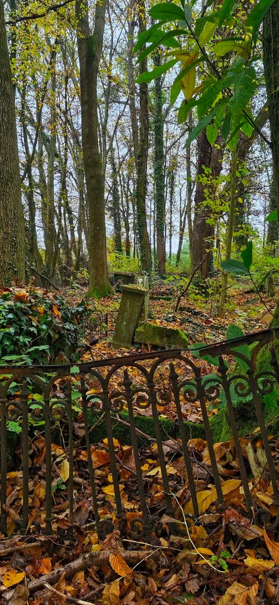 Jüdischer Friedhof Kuppenheim — photo 4