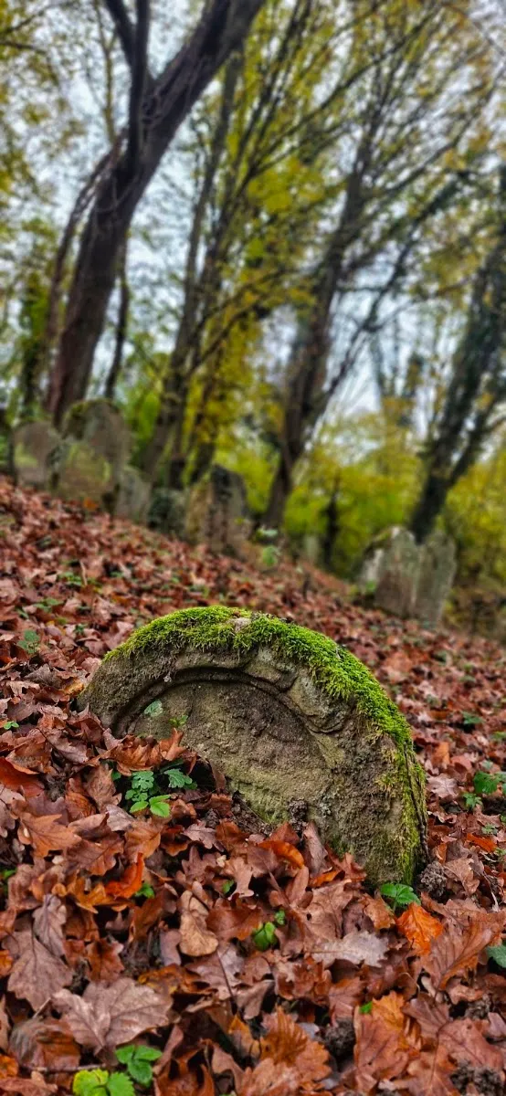 Jüdischer Friedhof Kuppenheim — photo 5