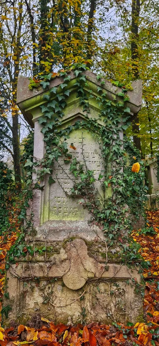 Jüdischer Friedhof Kuppenheim — photo 6