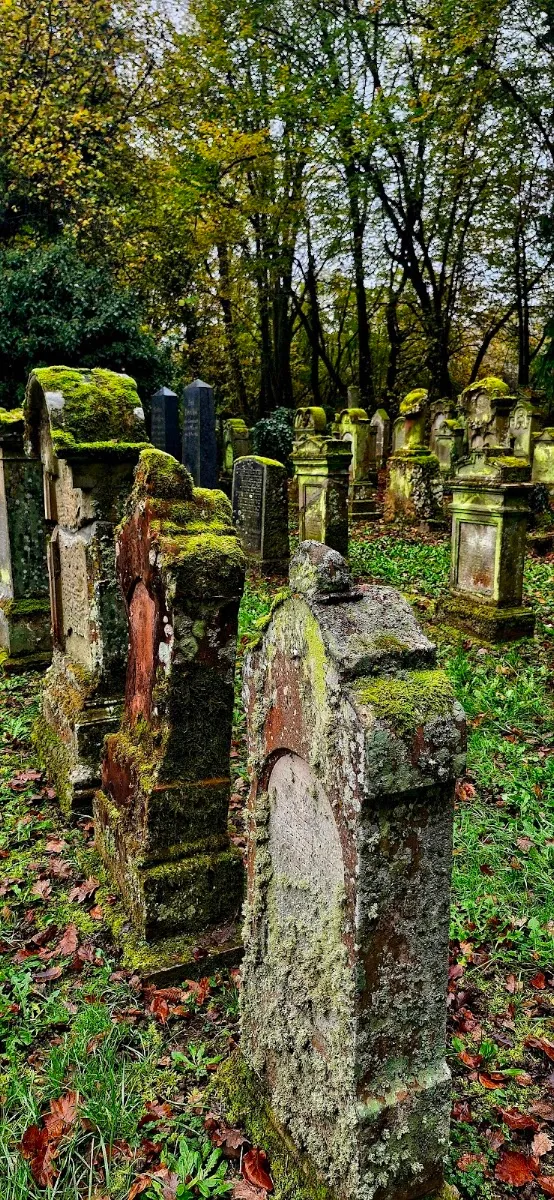 Jüdischer Friedhof Kuppenheim — photo 7