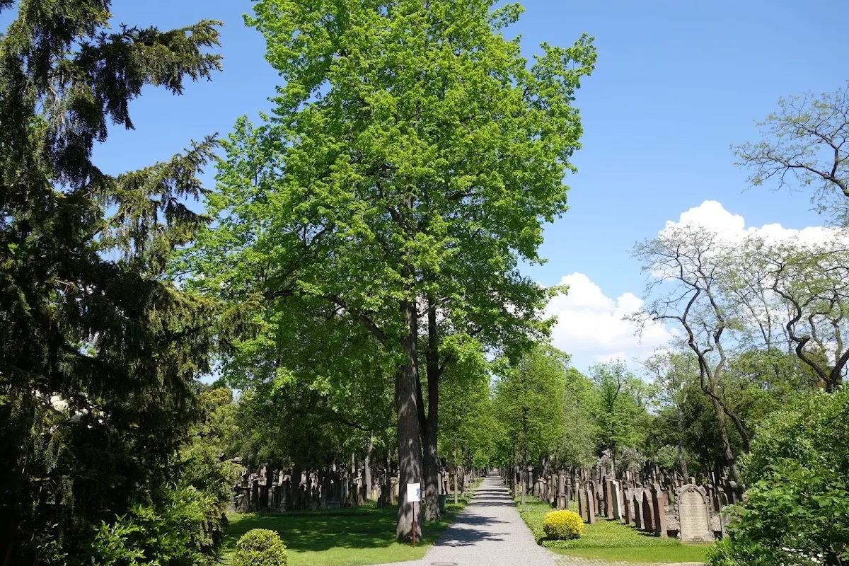 Jüdischer Friedhof Mannheim — foto 6