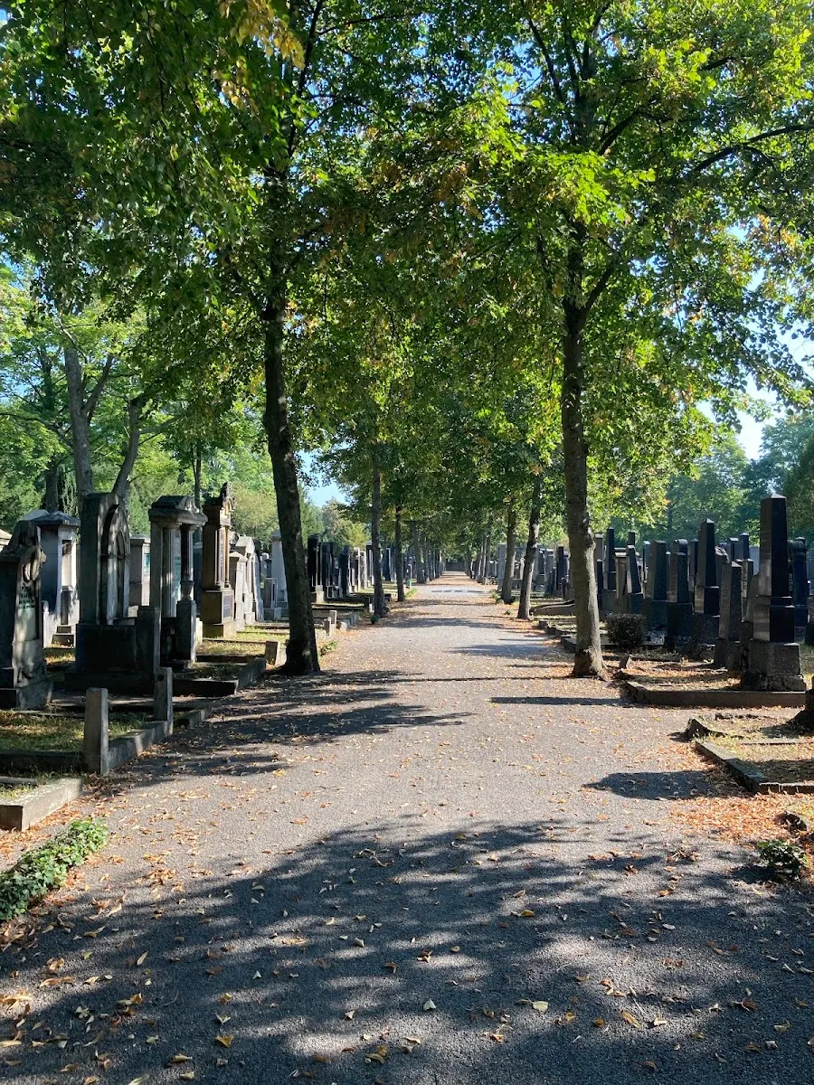 Jüdischer Friedhof Mannheim — foto 8