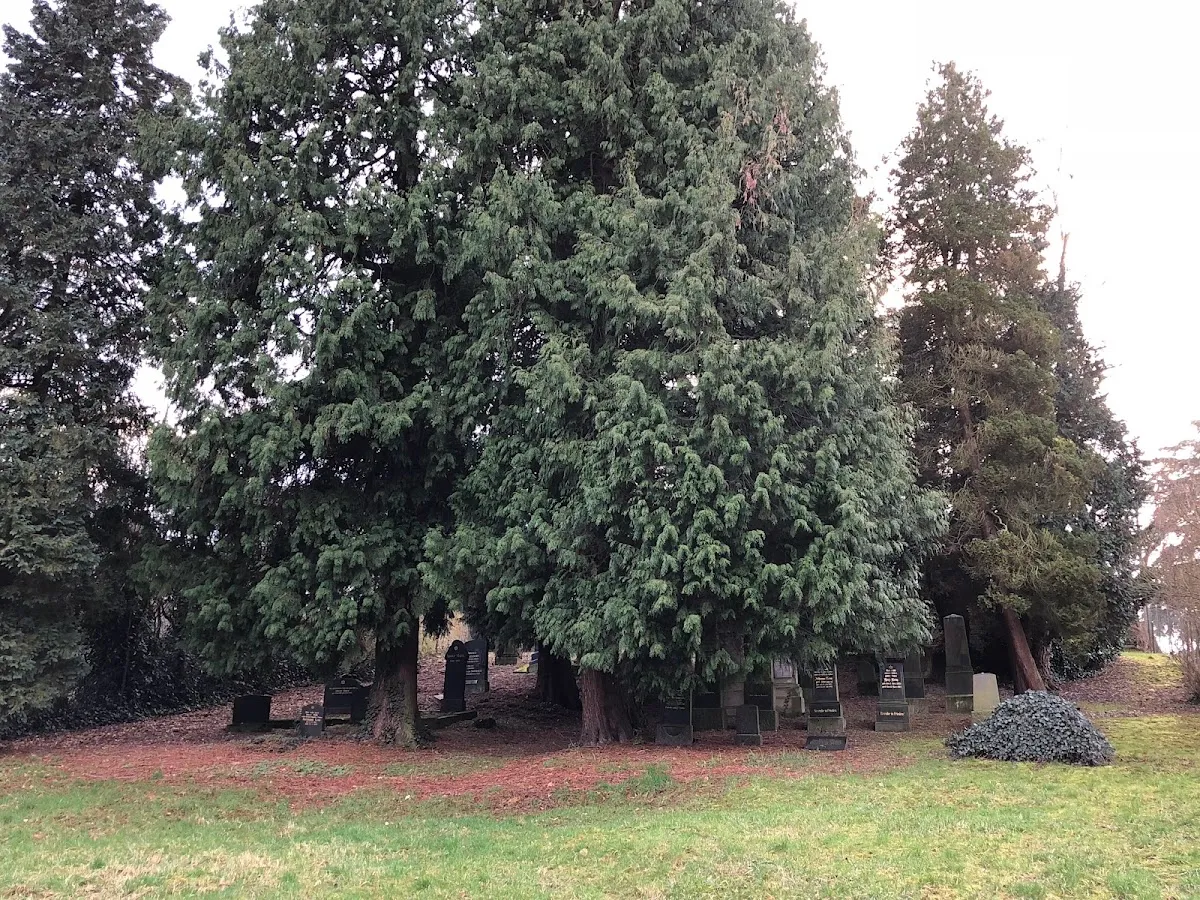 Jüdischer Friedhof Mehlem