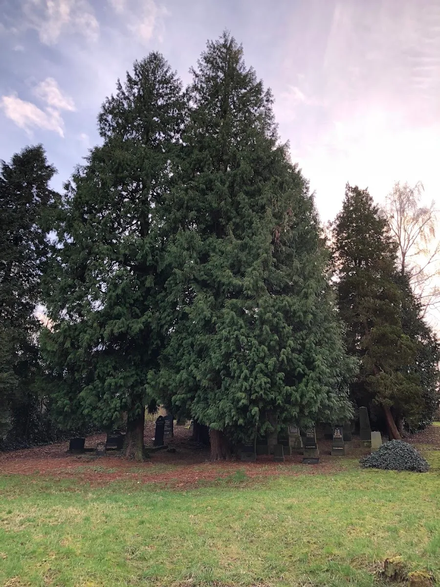 Jüdischer Friedhof Mehlem — foto 3