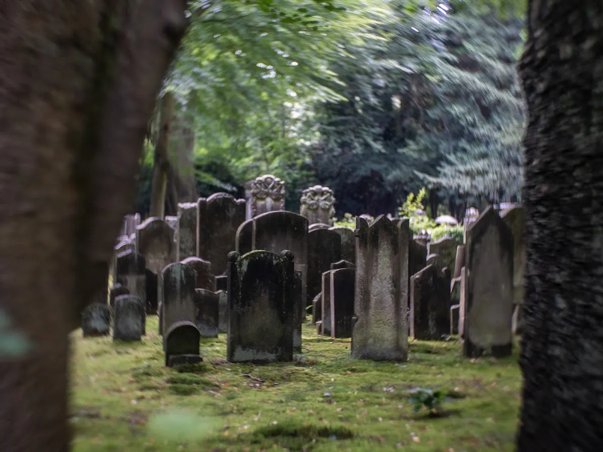 Jüdischer Friedhof Ohlsdorf — foto 3