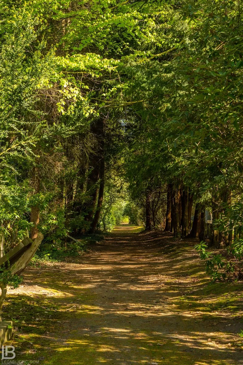 Jüdischer Friedhof Ohlsdorf — foto 8
