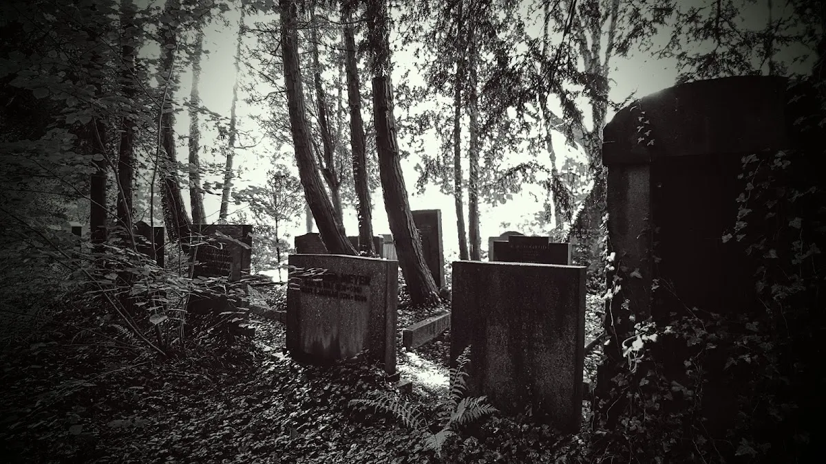 Jüdischer Friedhof Ohlsdorf — foto 9