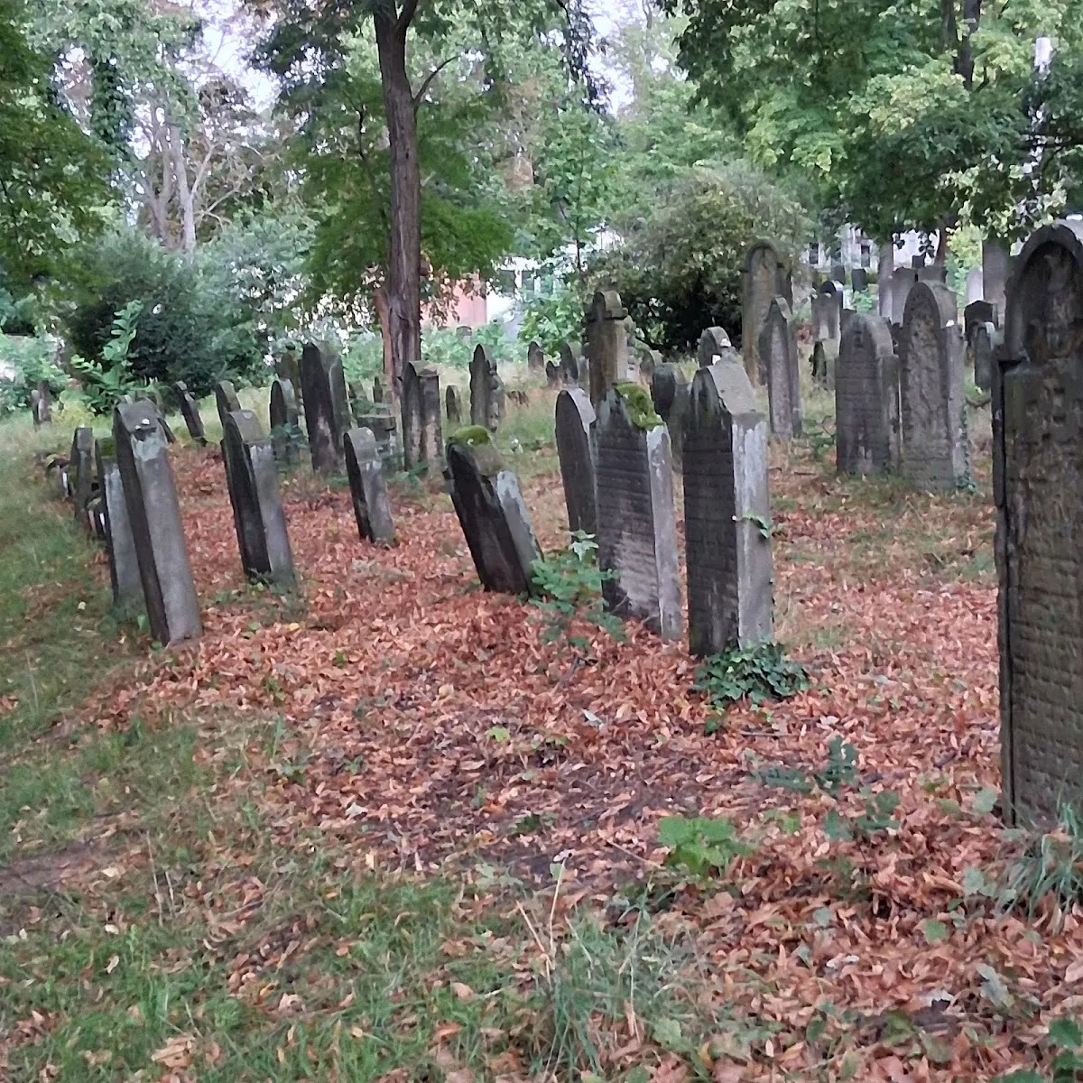 Jüdischer Friedhof Potsdam