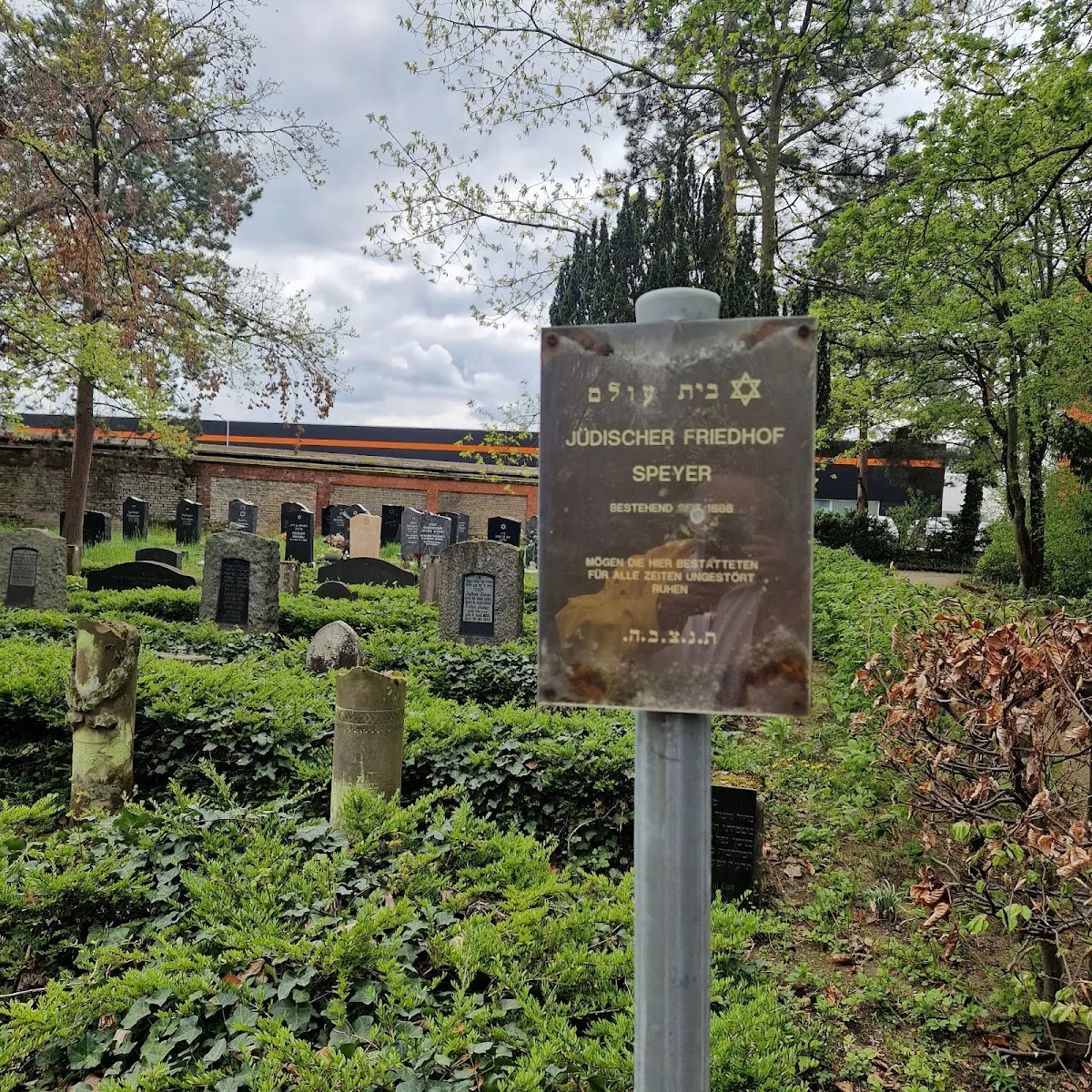 Jüdischer Friedhof Speyer — photo 5