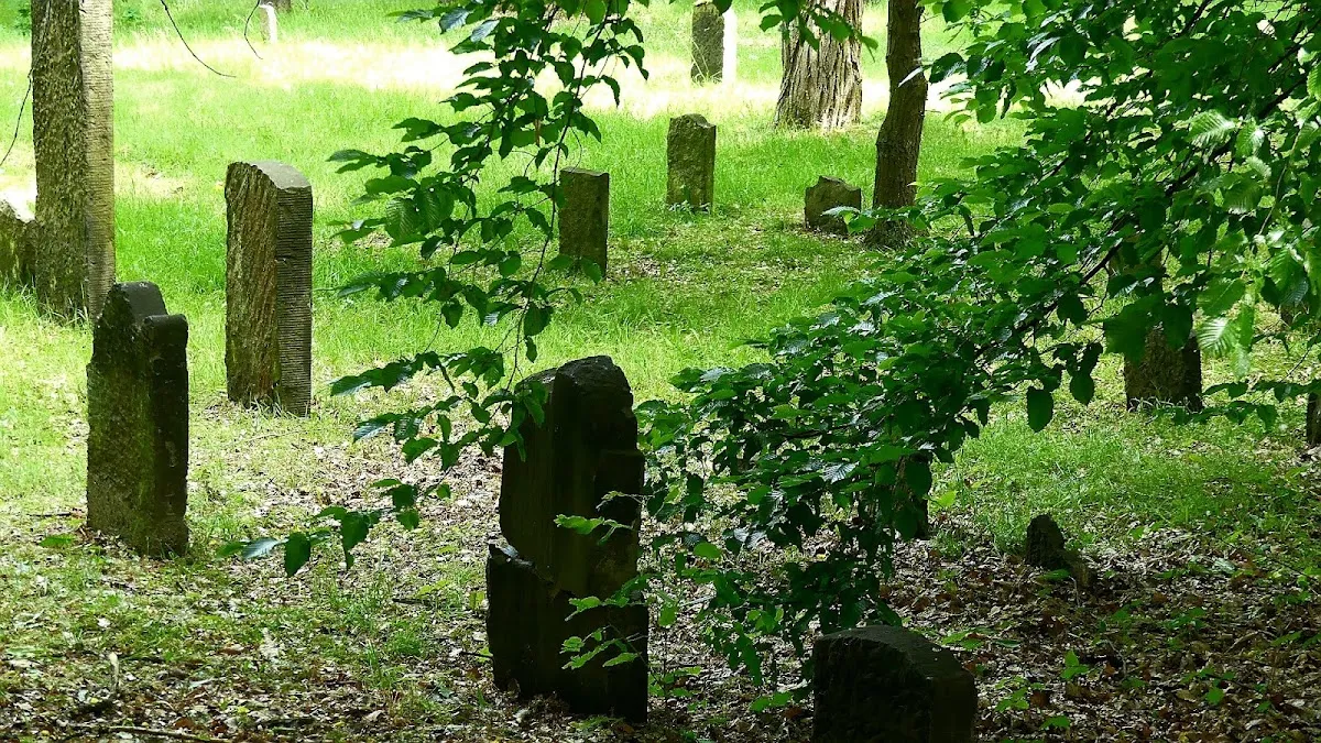 Jüdischer Friedhof Wandsbek — foto 5