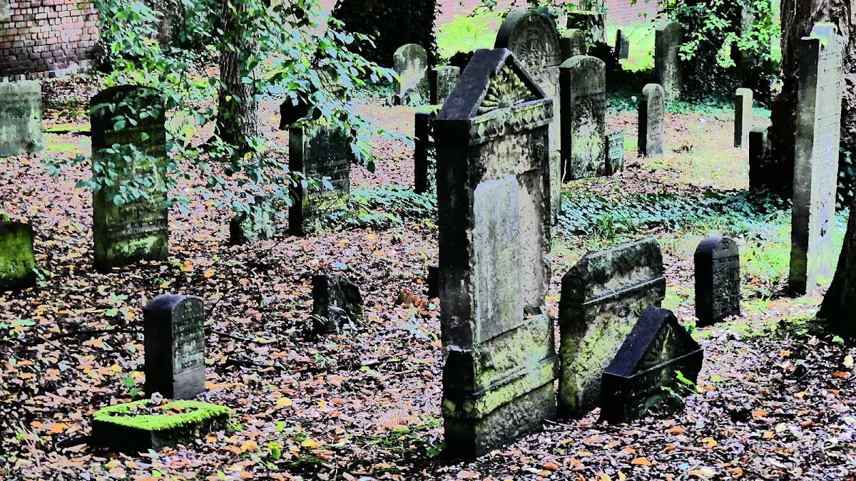 Jüdischer Friedhof Wandsbek — foto 6