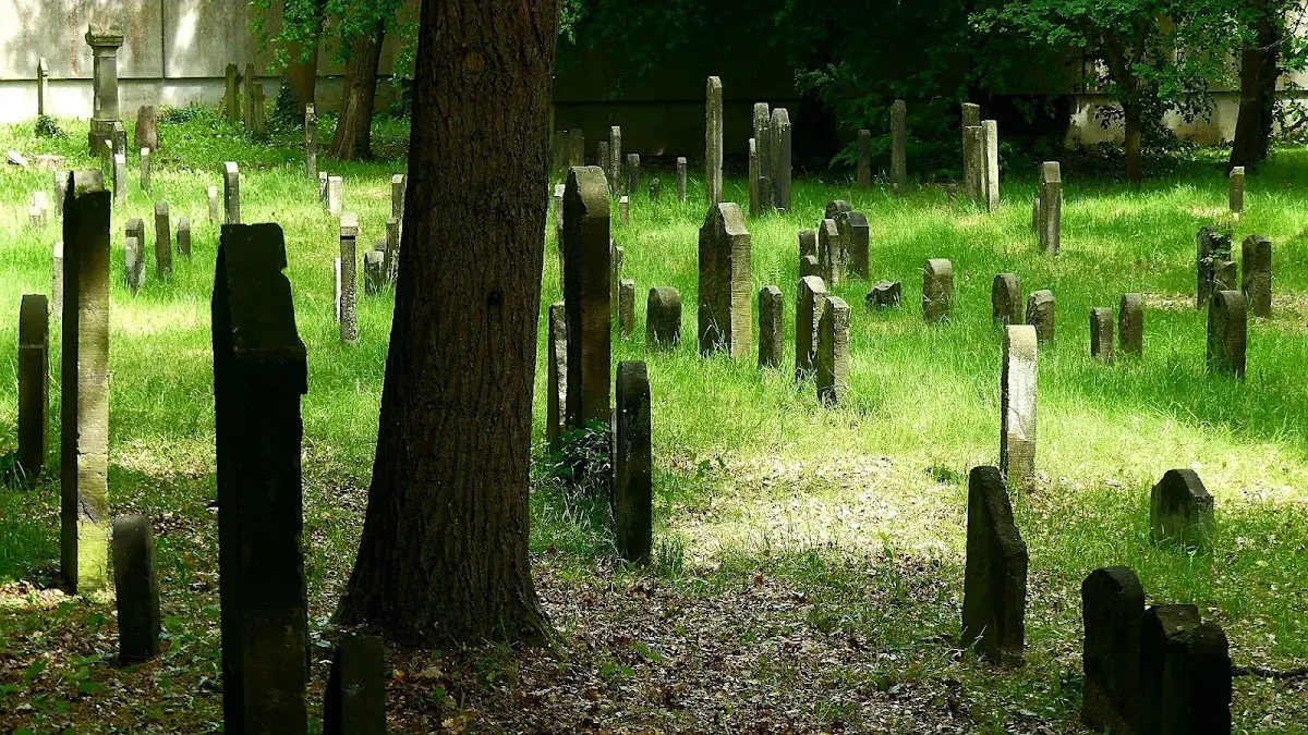 Jüdischer Friedhof Wandsbek — foto 9