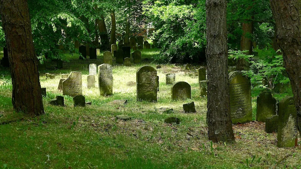 Jüdischer Friedhof Wandsbek — foto 10