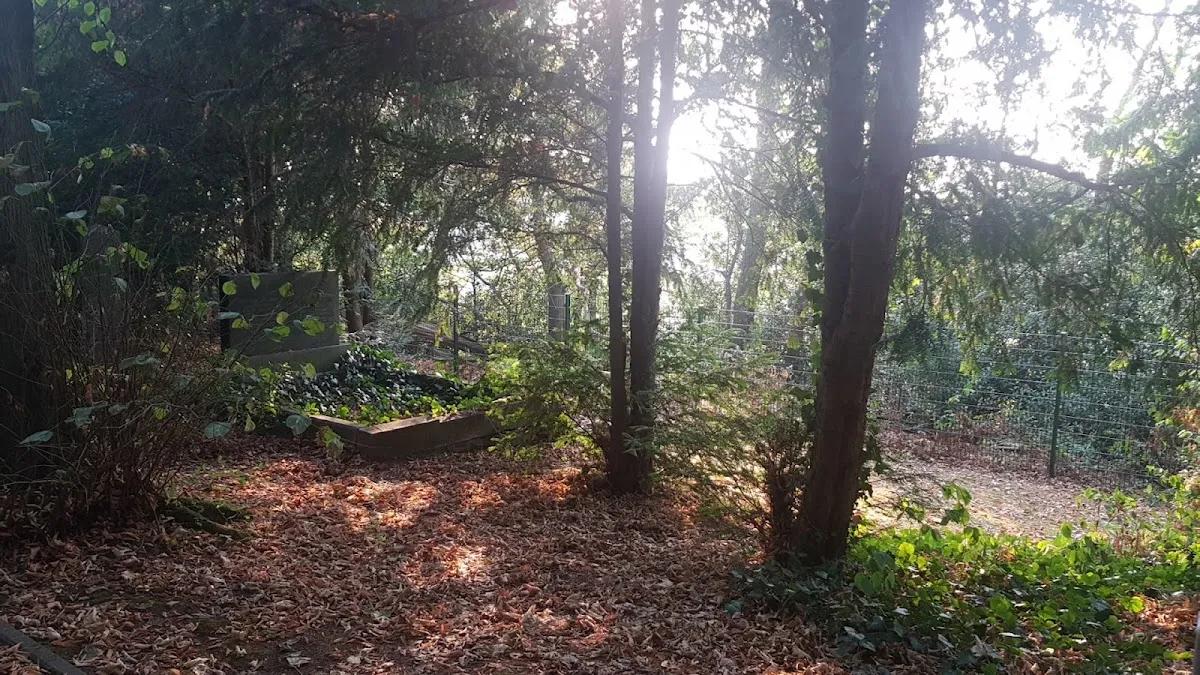 Jüdischer Friedhof Werden — photo 2