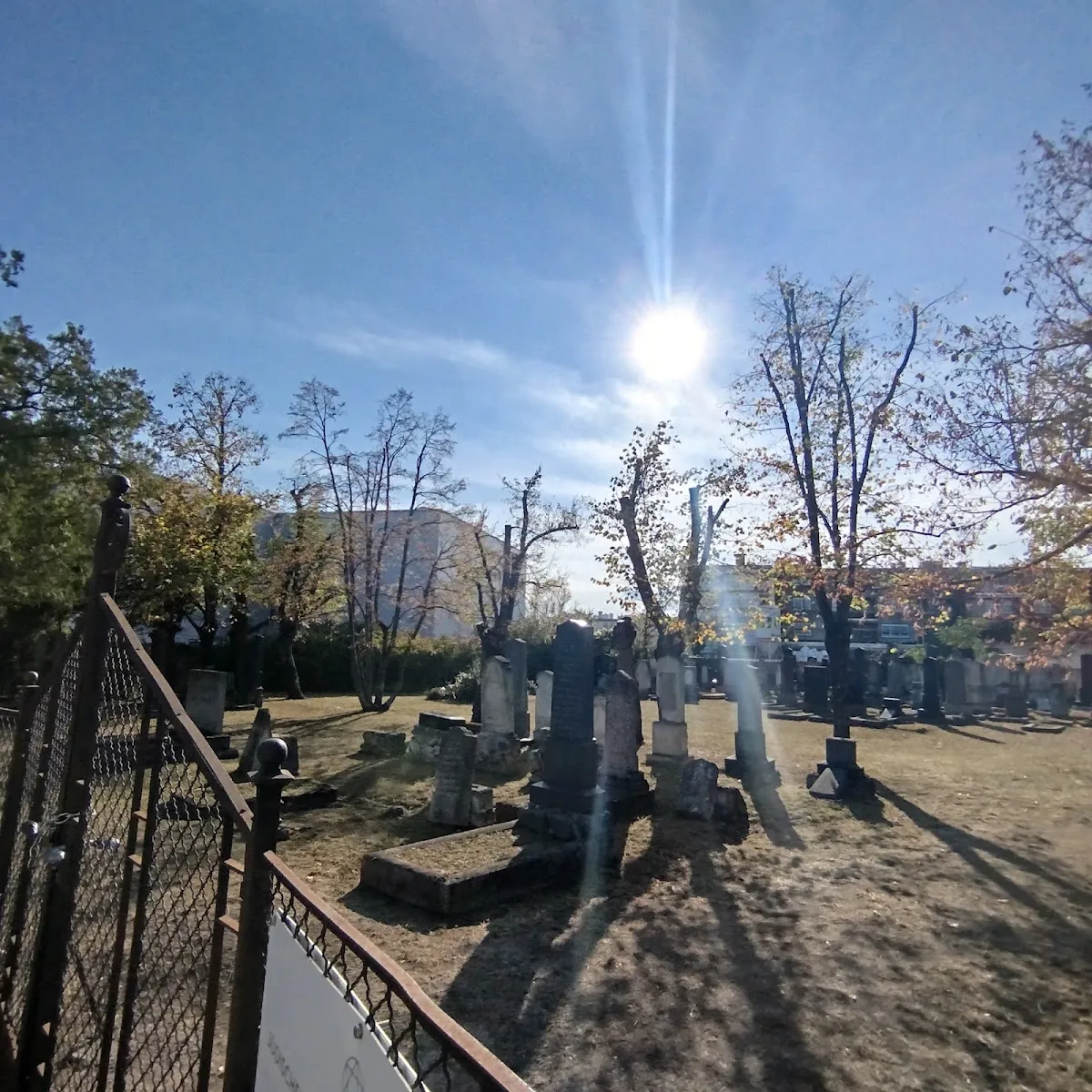 Jüdischer Friedhof Wiener Neustadt — photo 2
