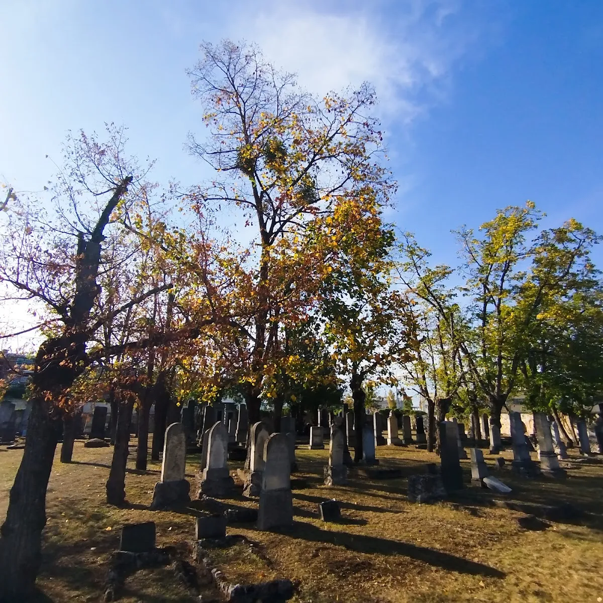 Jüdischer Friedhof Wiener Neustadt — photo 5