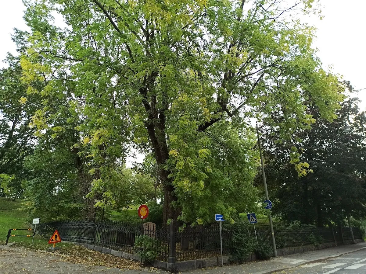 Judiska begravningsplatsen Kronoberg — foto 4