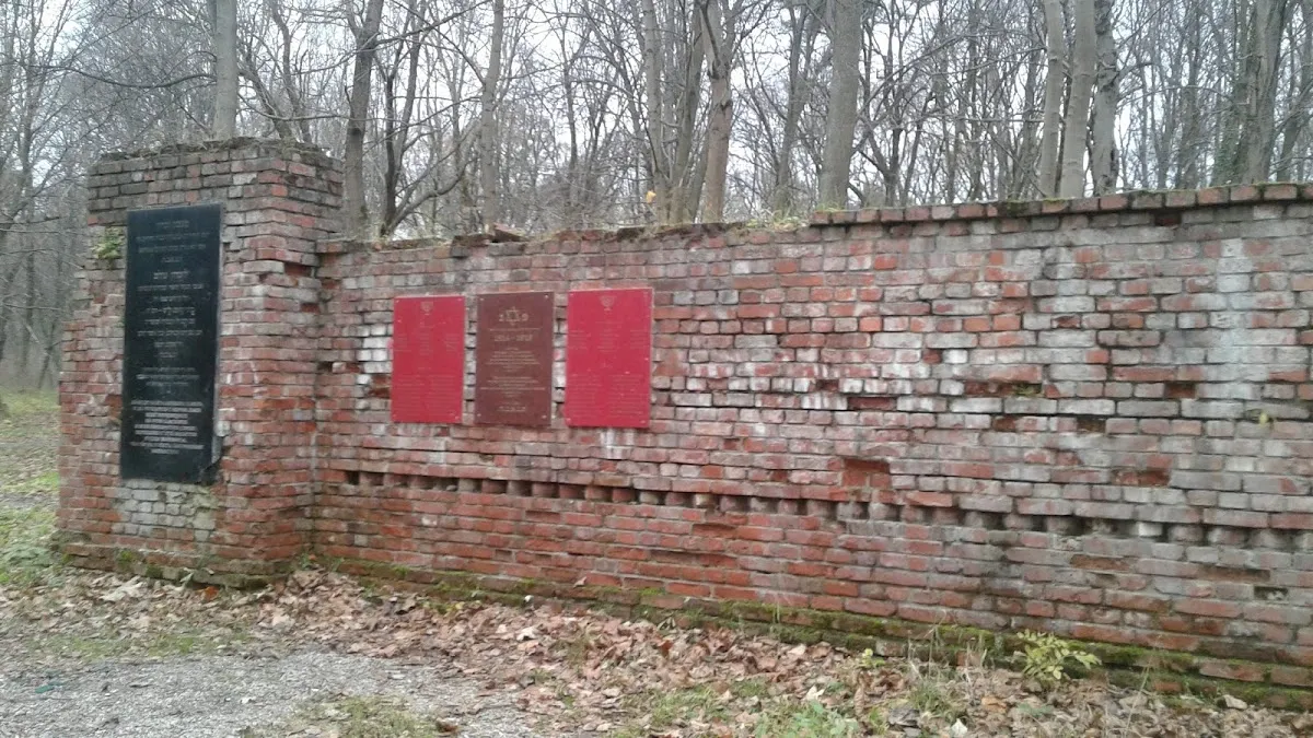 Kaliningrad Jewish Cemetery — foto 3