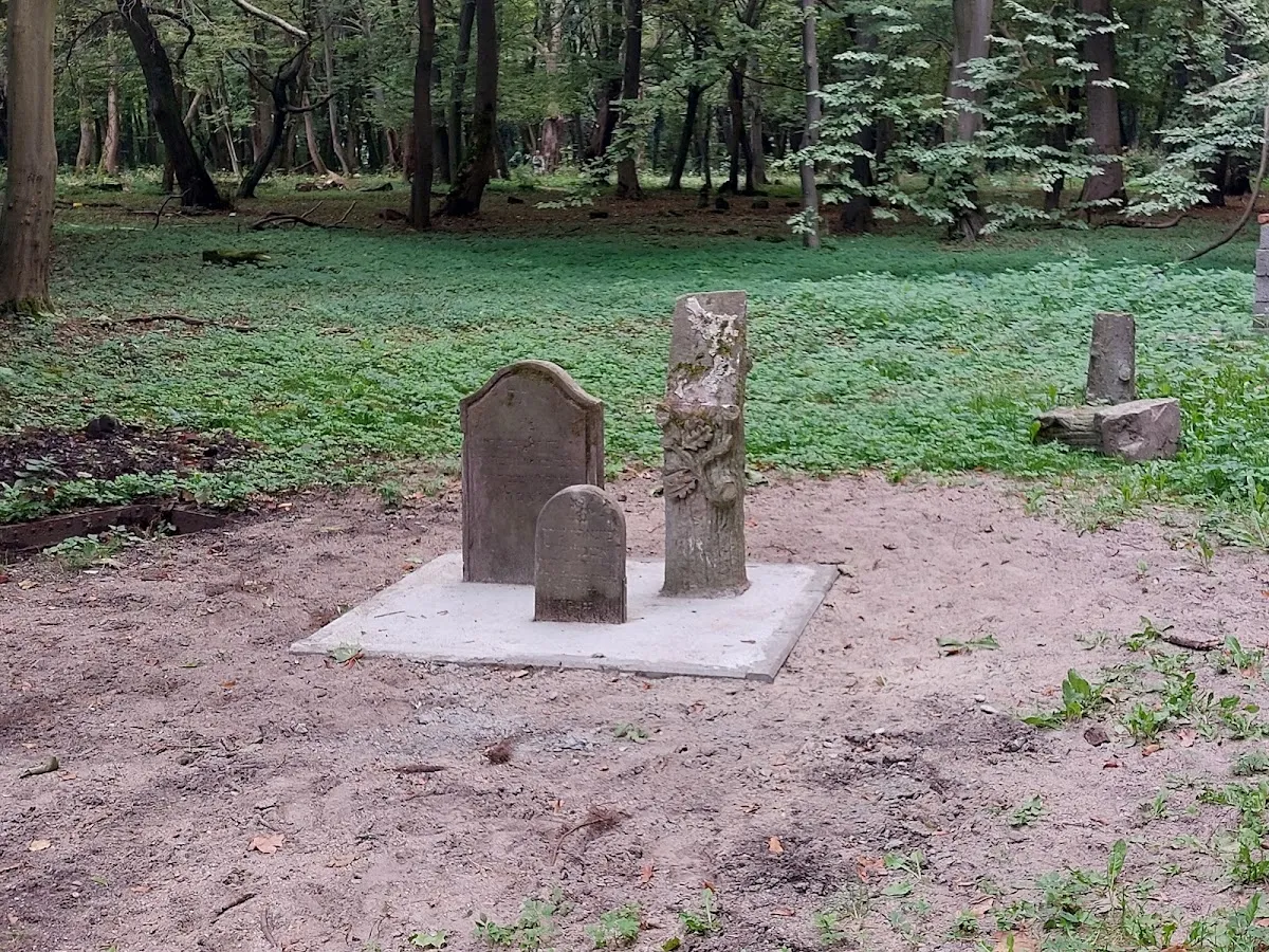 Kaliningrad Jewish Cemetery — foto 7