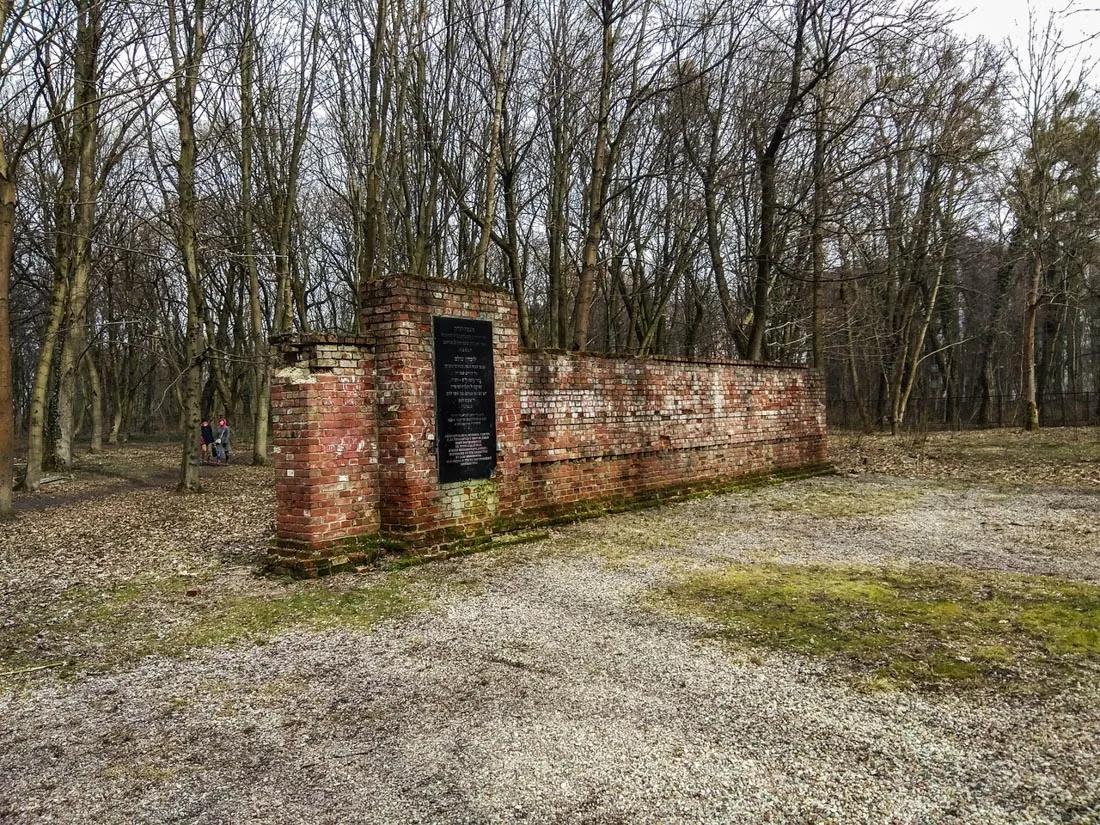 Kaliningrad Jewish Cemetery — foto 9