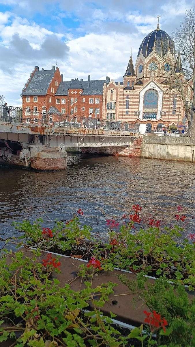 Kaliningrad New Synagogue — foto 2