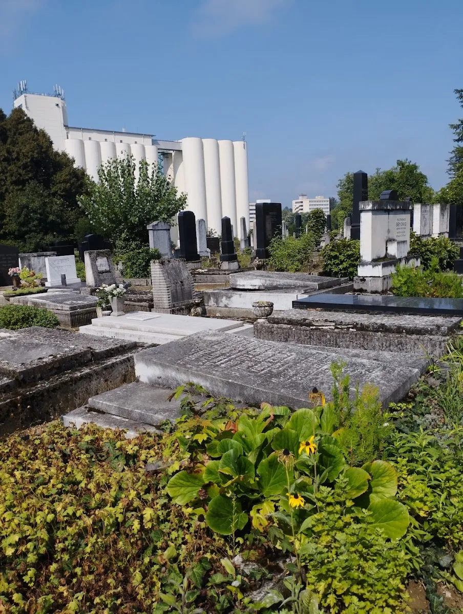 Kaposvári izraelita temető — photo 2