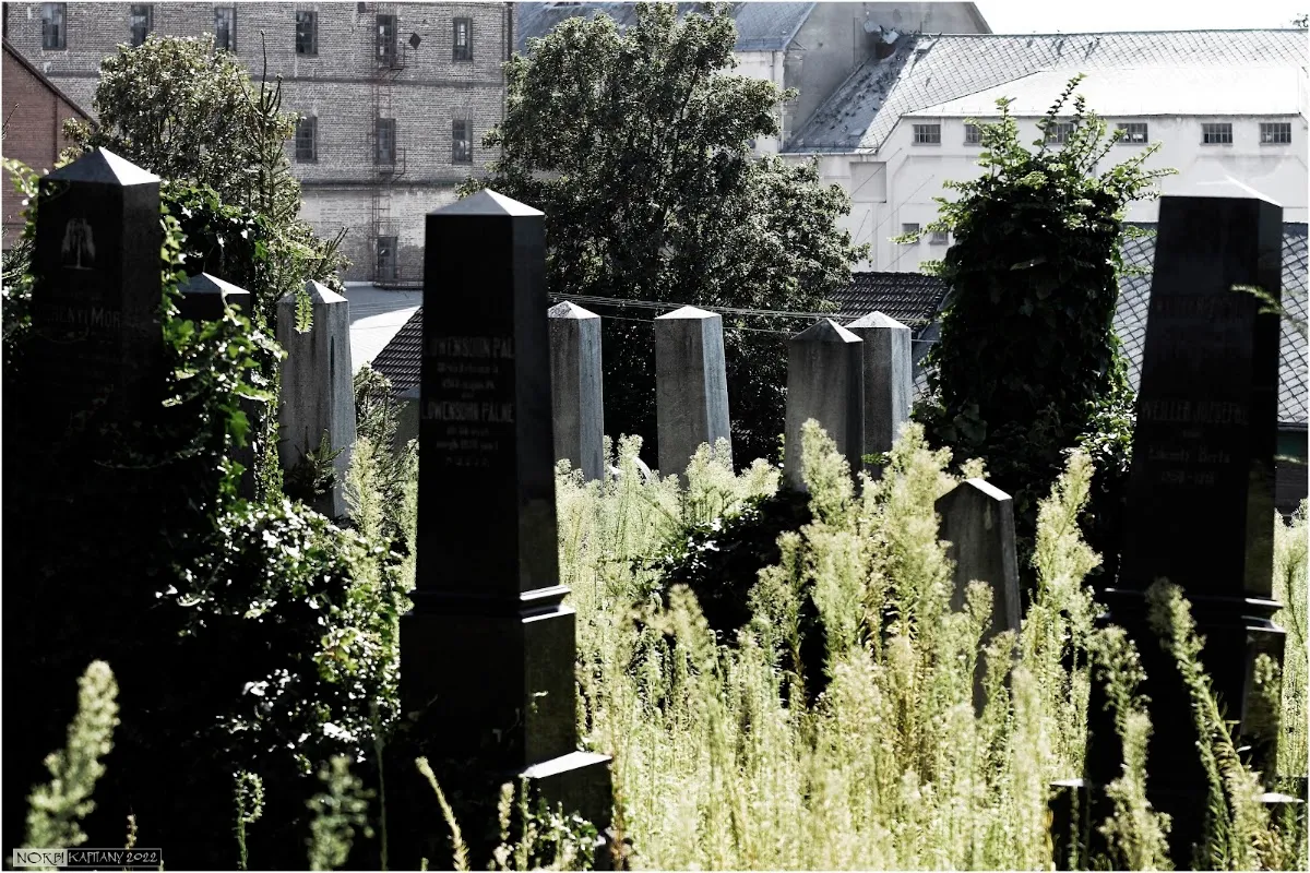 Kaposvári izraelita temető — photo 4