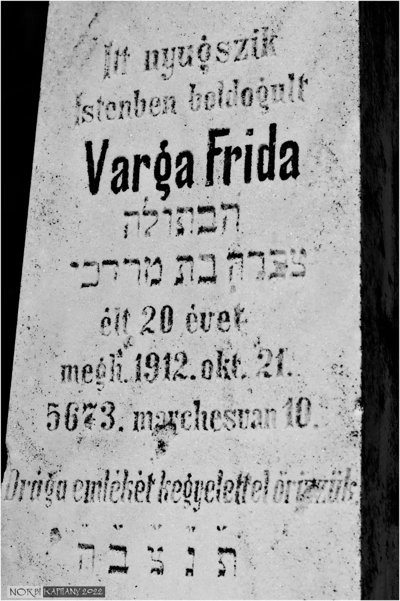 Kaposvári izraelita temető — photo 8