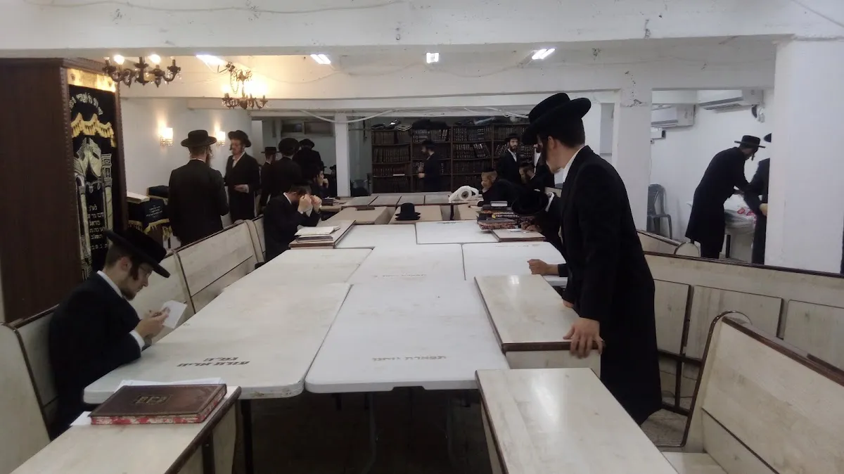 Karlin-Stolin Synagogue — foto 4