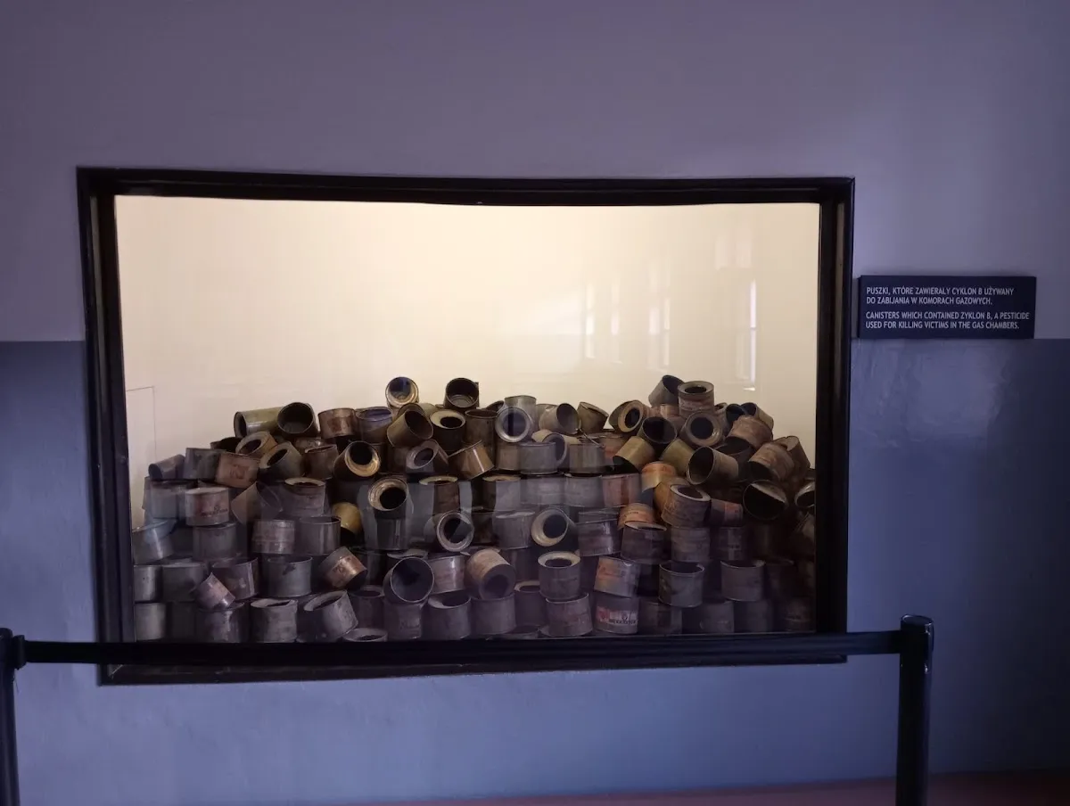 Kdoshei Auschwitz Synagogue — foto 6